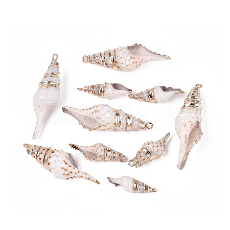 Electroplate Natural Sea Shell Pendants SSHEL-Q100-08KCG-1