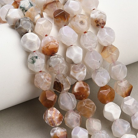 Natural Agate(Dyed & Heated) Beads Strands G-K425-B09-01-1
