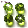 Imitation Austrian Crystal Beads SWAR-F021-4mm-252-1