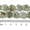 Natural Labradorite Beads Strands G-H023-B19-01-5