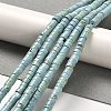 Natural Turquoise Beads Strands G-M422-C01-01-3