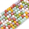 Opaque Glass Beads Strands GLAA-N041-005B-01-1