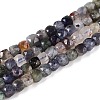 Natural Iolite Beads Strands G-N342-112B-1