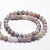 Frosted Natural Weathered Agate Beads Strands G-F374-8mm-02-2