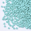 Glass Cylinder Beads SEED-Q036-01A-D11-3
