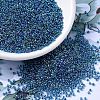 MIYUKI Round Rocailles Beads X-SEED-G007-RR0339-1