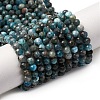 Natural Apatite Beads Strands LS-G-A276-C08-4mm-01-2