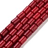 Synthetic Turquoise Beads Strands X-TURQ-G120-4x6mm-07-1