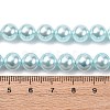 Electroplated Shell Pearl Beads Strands BSHE-G041-8mm-03-4
