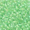 Transparent Glass Round Seed Beads X1-SEED-B001-05A-06-3