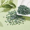 6/0 Glass Seed Beads SEED-YW0001-25F-5