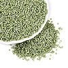 FGB 11/0 Grade A Baking Paint Glass Seed Beads SEED-S030-1037-1
