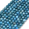 Natural Apatite Bead Strands G-P204-09-7mm-1-2