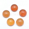 Natural Carnelian Cabochons G-P393-R41-10mm-1