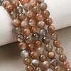 Natural Grey Moonstone Beads Strands G-F632-24-02-01-2