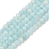 Natural Freshwater Shell Dyed Beads Strands SHEL-R100-12A-02-1