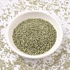 MIYUKI Delica Beads SEED-MY11-DB1766-2