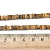 Natural Picture Jasper Beads Strands G-I394-A01-5