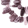 Dyed Natural Quartz Beads Strands G-Q606-24A-06-3