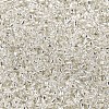 12/0 Glass Seed Beads X2-SEED-A005-2mm-21-2