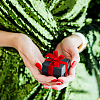 Cardboard Gift Boxes YS-TAC0001-17A-02-10