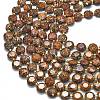 Natural Starburst Jasper Beads Strands G-C116-A136-01-3