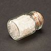 Transparent Glass Wishing Bottle Decoration DJEW-A001-01A-05-2