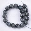 Natural Hawk's Eye Beads Strands G-S333-10mm-027-3