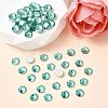 Preciosa® MAXIMA Crystal No Hotfix Flatback Stones Y-PRC-NSS16-50005-2