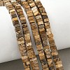 Natural Picture Jasper Beads Strands G-I394-A01-1
