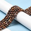 Natural Gemstone Beads Strands G-A215-01A-4