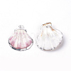 Sea Shell Pendants SSHEL-Q300-004-2