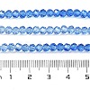 Transparent Painted Glass Beads Strands DGLA-A034-T4mm-A01-3