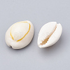 Cowrie Shell Beads SSHEL-T004-06-2