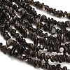 Natural Silver Sheen Obsidian Beads Strands GG-CBAE051-A03-02-3