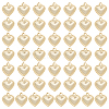 50Pcs 304 Stainless Steel Charms STAS-LP0001-37-1