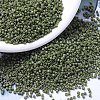 MIYUKI Delica Beads SEED-X0054-DB0391-1