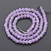 Crackle Glass Beads Strands GLAA-S192-B-006I-2