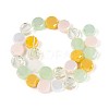 Electroplate Glass Beads Strands EGLA-N022-03A-A07-2