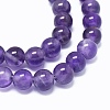 Natural Amethyst Beads Strands G-L476-09-2