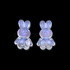 Transparent Acrylic Beads OACR-N008-172F-3