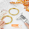 DIY Wire Wrapped Jewelry Kits DIY-BC0011-81A-04-4