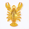 Transparent Acrylic Pendants TACR-S149-02-2
