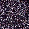 MIYUKI Round Rocailles Beads X-SEED-G007-RR1013-3
