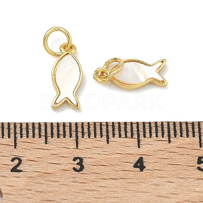 Natural White Shell Fish Charms KK-F926-04B-1