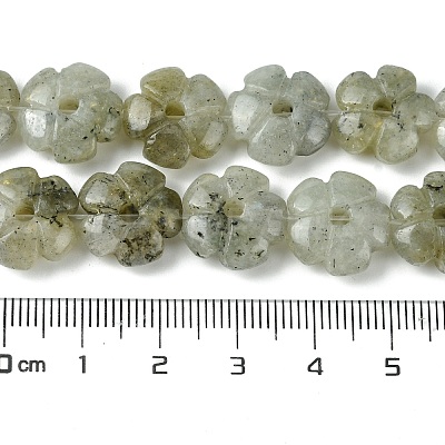 Natural Labradorite Beads Strands G-H023-B19-01-1
