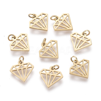 Ion Plating(IP) 304 Stainless Steel Charms STAS-H100-25G-1