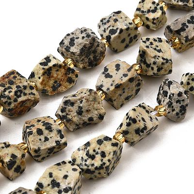 Raw Rough Natural Dalmatian Jasper Beads Strands G-Z087-A01-1