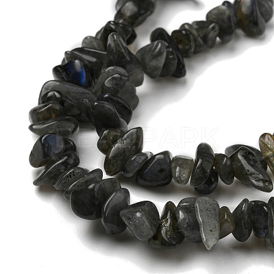 Natural Labradorite Chip Bead Strands G-M205-57A-1