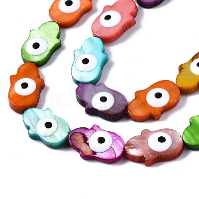 Freshwater Shell Beads Strands SHEL-T018-25-1
